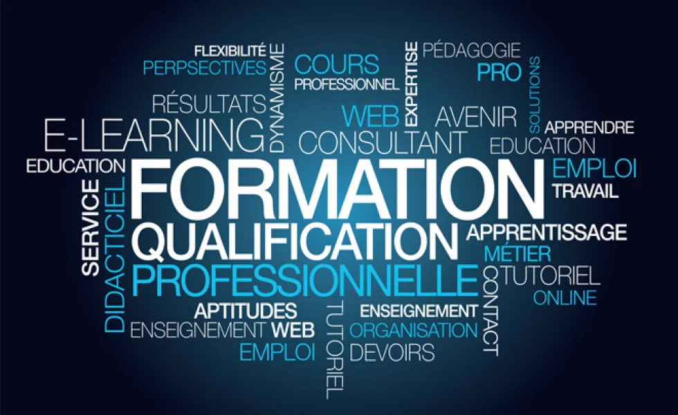 Formation professionnelle, accompagnement et transmission des compétences web